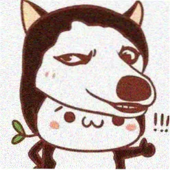 夜猫子